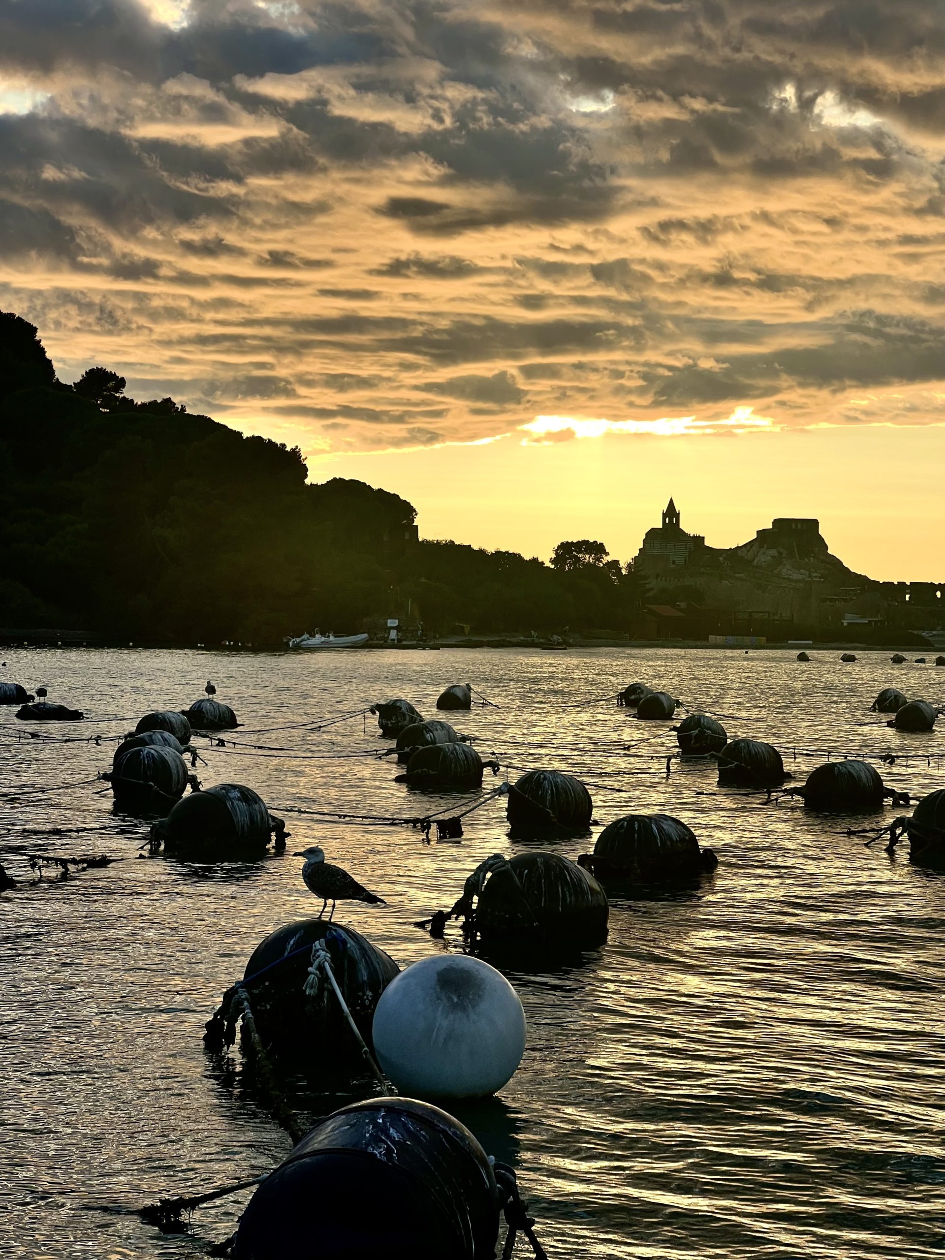 Tour del tramonto